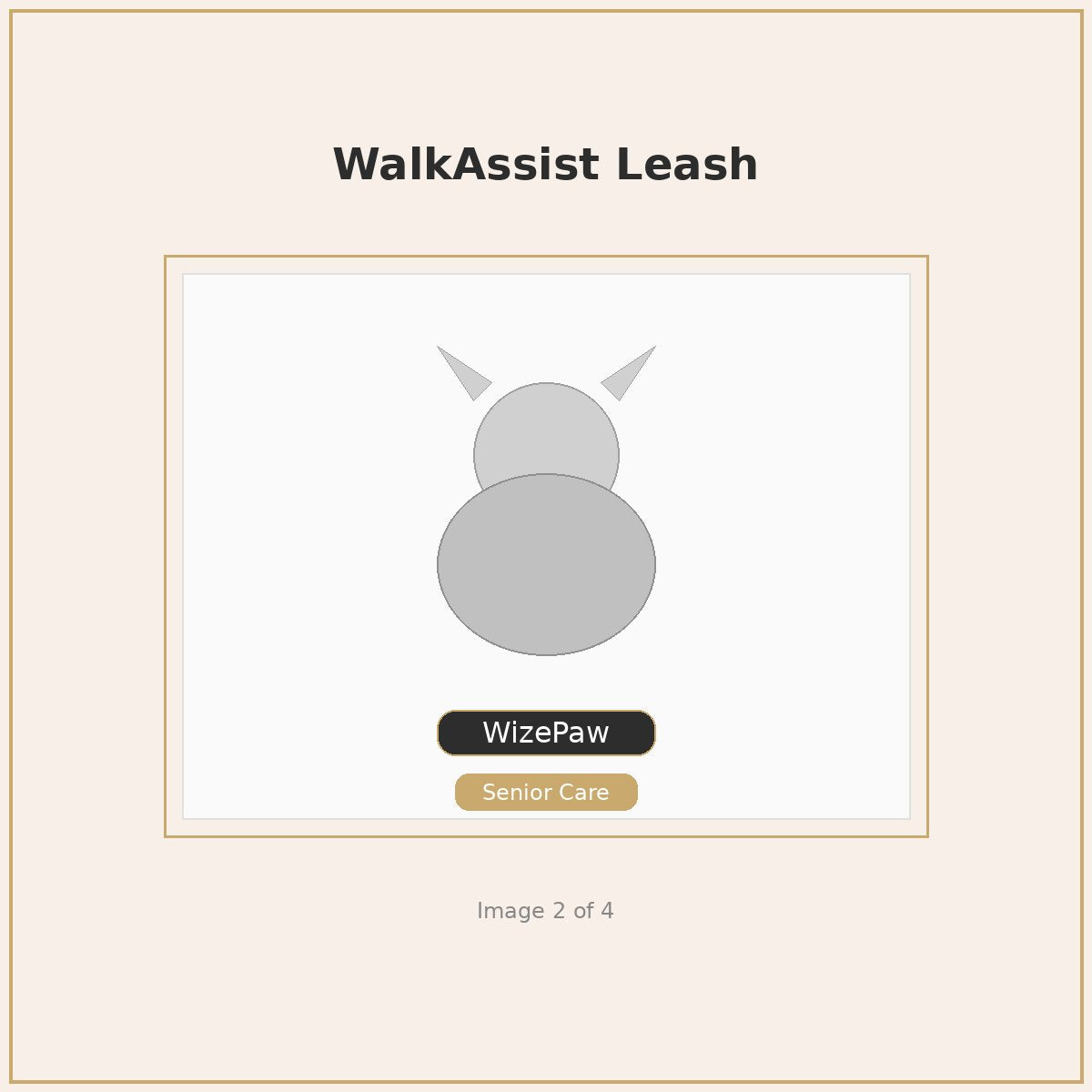 WizePaw WalkAssist Leash