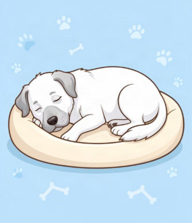 Comfort & Rest
