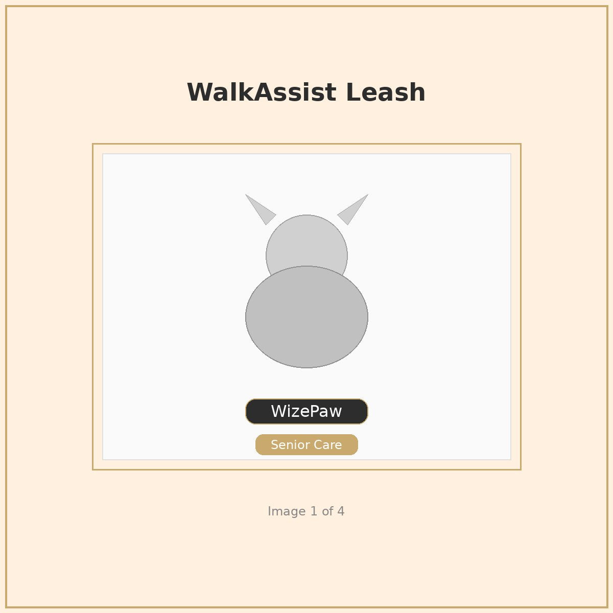WizePaw WalkAssist Leash